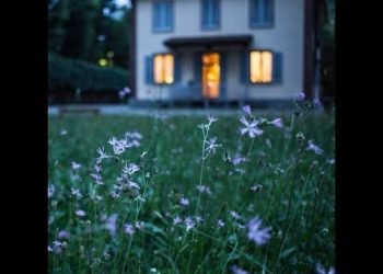 THE AMERICAN RELICS “I Need You Home”