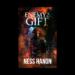 Interview with Ness Hanon, Author of Enemy’s Gift – NewInBooks