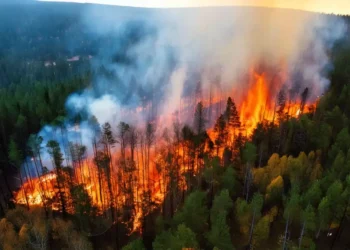 Your Employees Are Living Through Climate Disasters. Whats Your Plan?