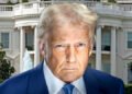 BREAKING: Trump tells Minnesota to fight back against govt officials
